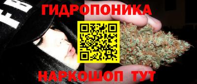 гидропоника Коммунар