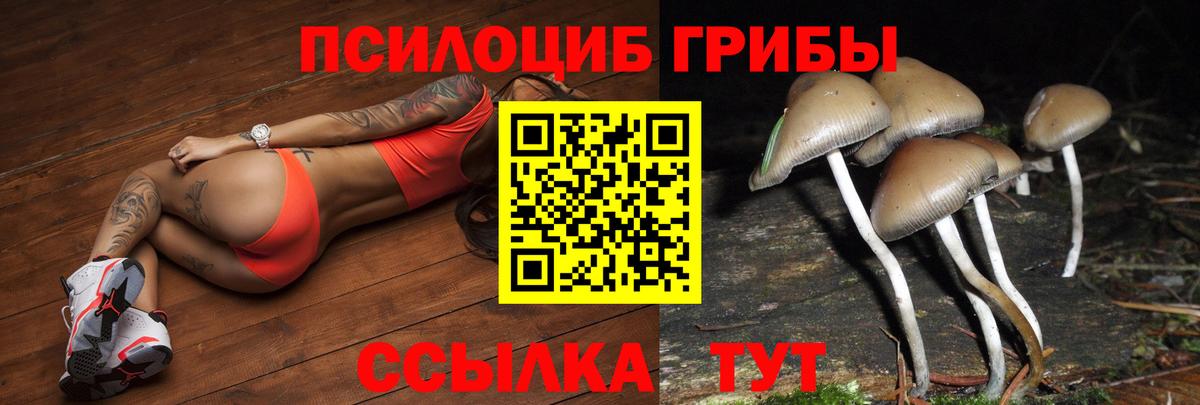 Псилоцибиновые грибы мухоморы  Вход с VPN  магазин продажи   Кострома 