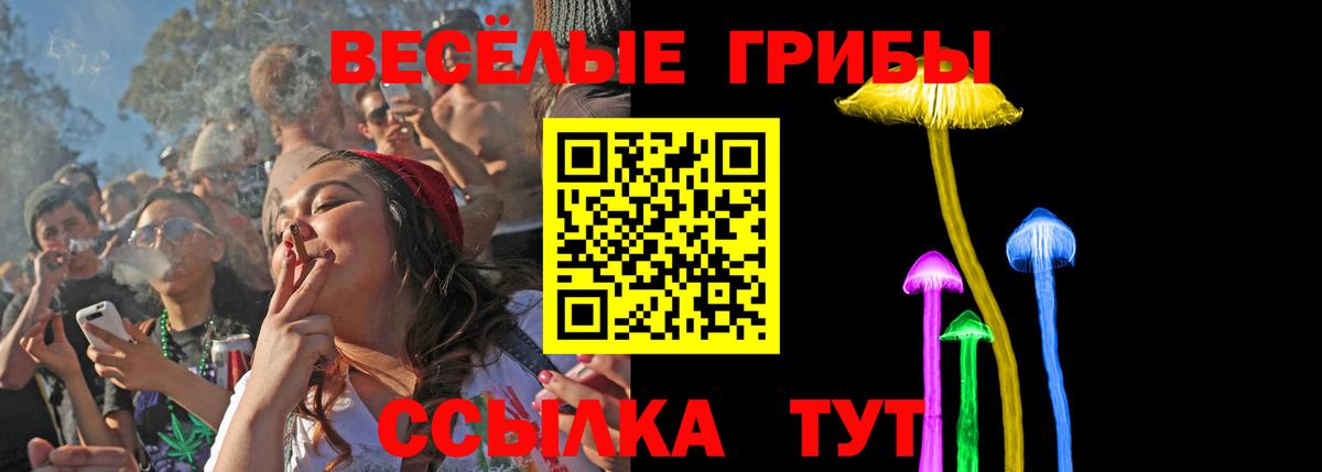 Псилоцибиновые грибы Psilocybine cubensis Кострома